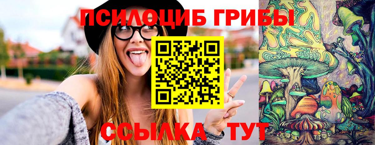 Кингисепп  Галлюциногенные грибы Psilocybine cubensis  Вход с VPN 